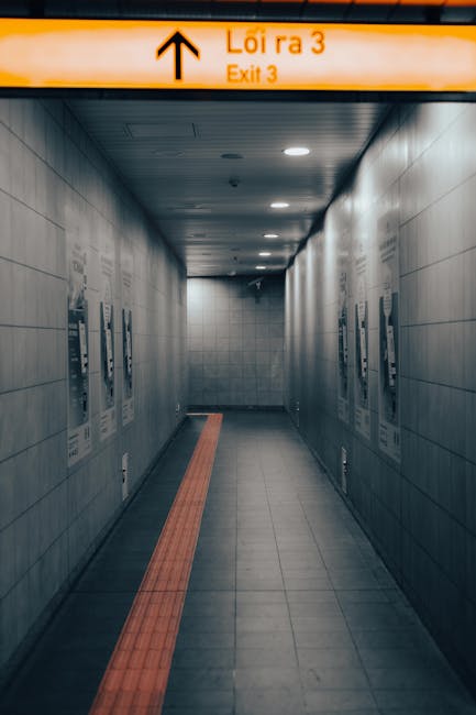 Variety of customized diet plan options