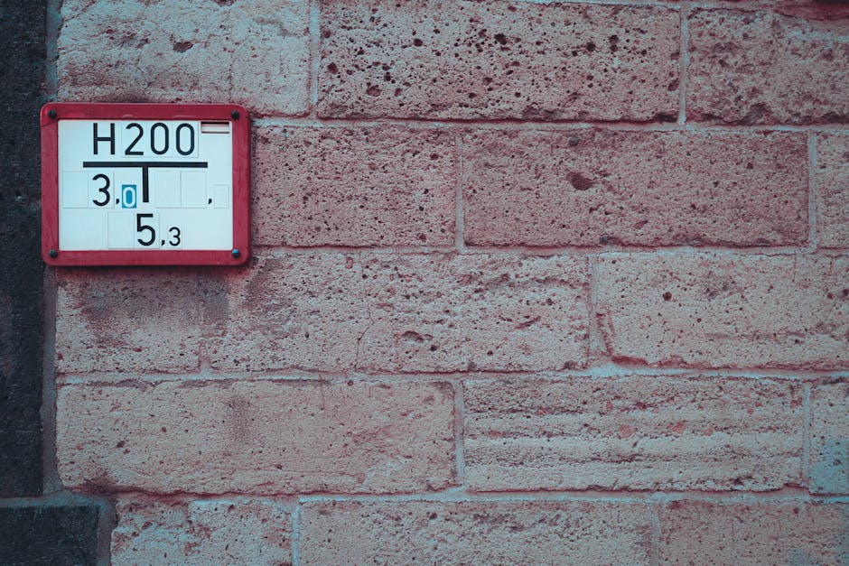 Nutritional educational infographic and guide